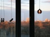 Zimmer mit Aussicht auf das Affenhaus und die Vogelvolieren