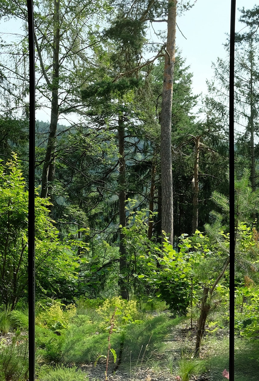Forest Spa: Dort, wo die Bäume wurzeln und sich Moos und Farn ein Stelldichein geben, können die Gäste im Wald »baden«