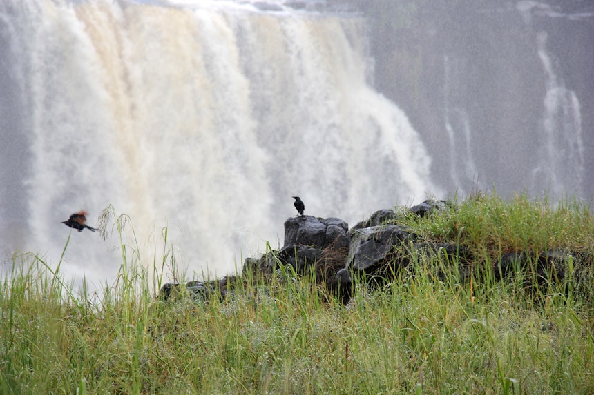 Naturwunder Victoria Falls 5